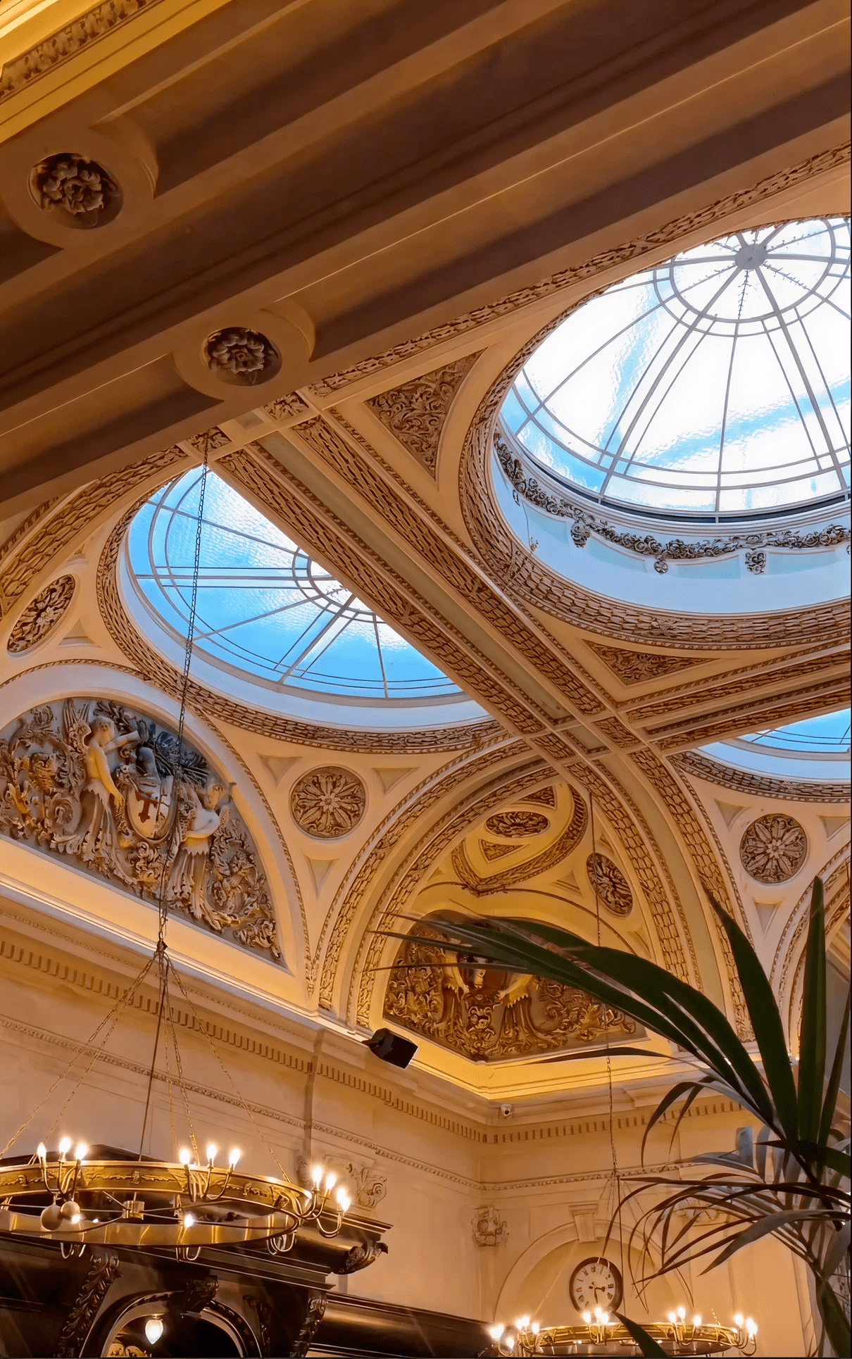 Ornate ceiling with domed skylights, decorative moldings, and detailed reliefs; a chandelier hangs below, and a green plant is partially visible in the lower right corner. Natural light shines through the glass domes.