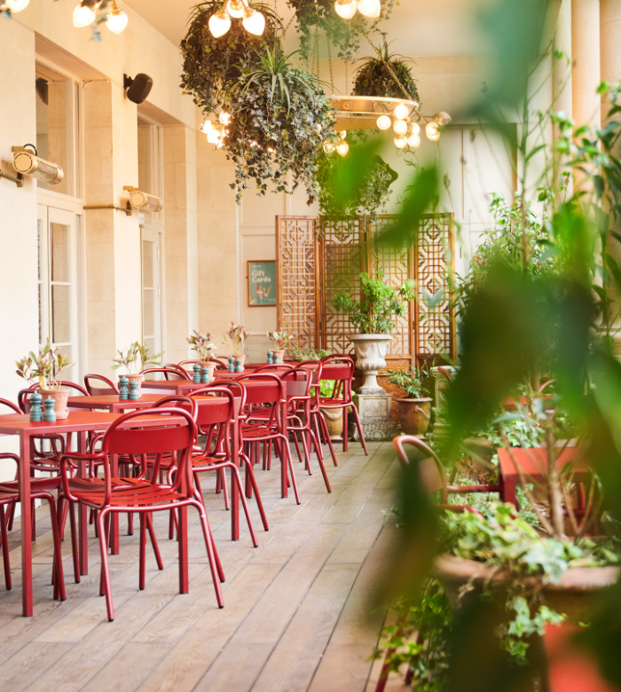 A bright, cozy cafe patio with red chairs and tables, wooden flooring, hanging plants, and potted greenery, creating a lush, inviting atmosphere under warm globe lights.