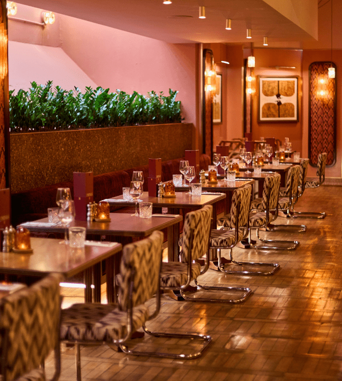 A stylish restaurant with pink walls, patterned chairs, set tables with glassware, and warm lighting. Green plants line one side, and framed art decorates the walls, creating an inviting, modern ambiance.